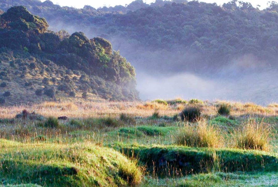 Horton Plains National Park