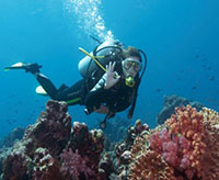 Diving in Sri Lanka