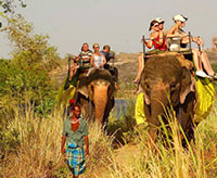 Elephant Back Ride