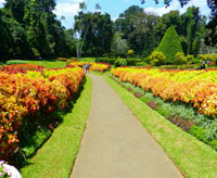 Kandy Day Excursion