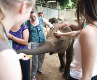 Kandy + Sigiriya Two Days Excursion