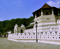 Kandy Day Excursion