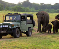 Jeep Safari