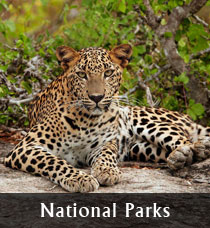 National Parks in Sri Lanka