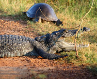 Wasgamuwa National Park